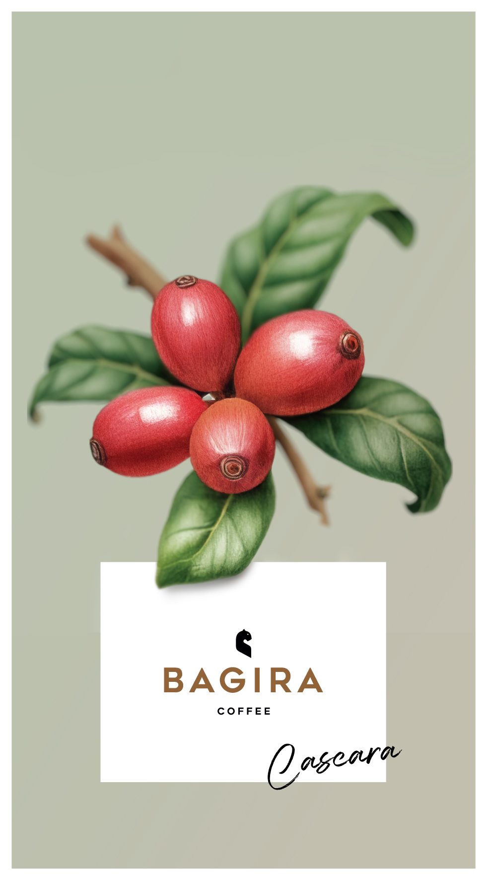 Cascara - Colombia Argote