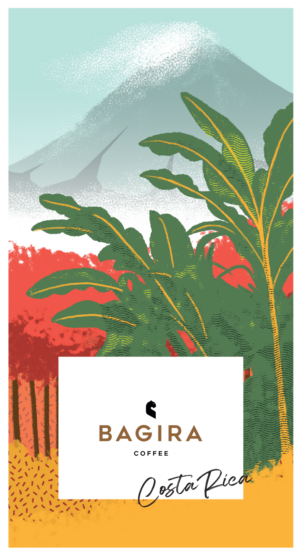 Costa Rica Brumas del Zurqui - natúr