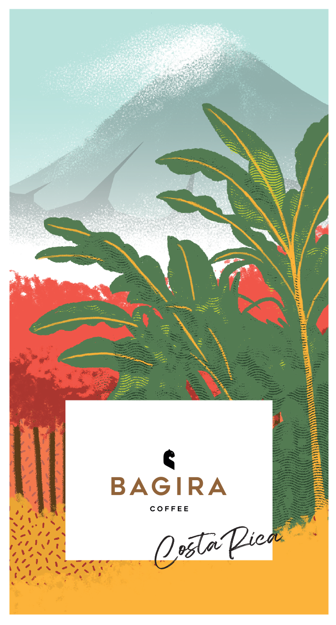 Costa Rica Brumas del Zurqui - natúr