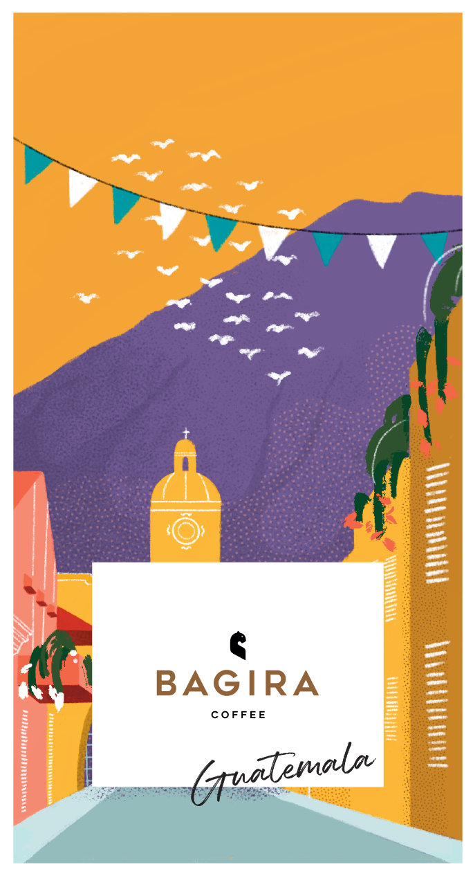 Guatemala Finca Pampojilá - natúr