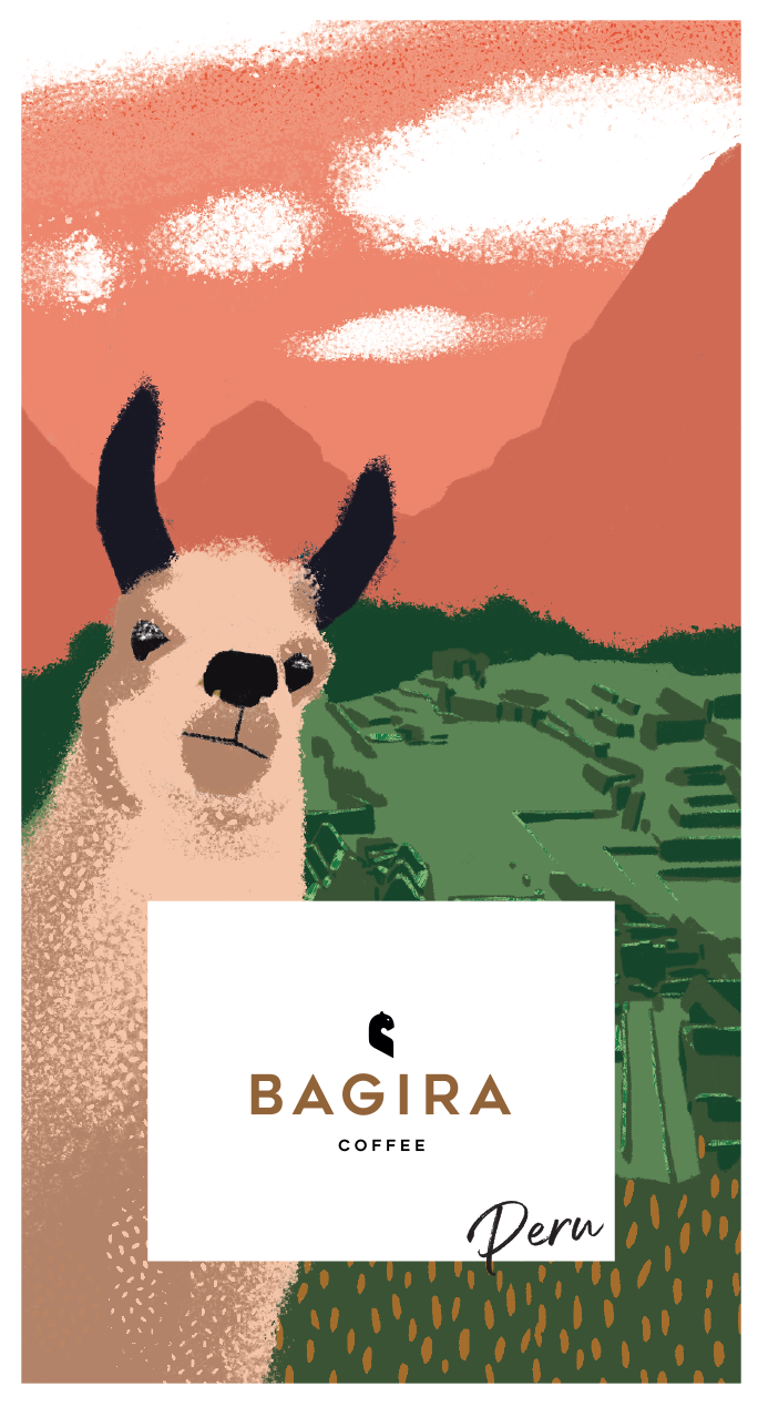 Peru Cajamarca - mosott