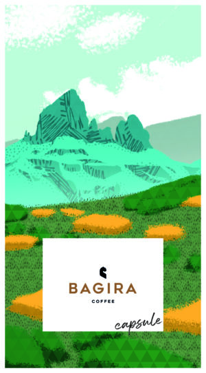 Ethiopia Senkole - natúr