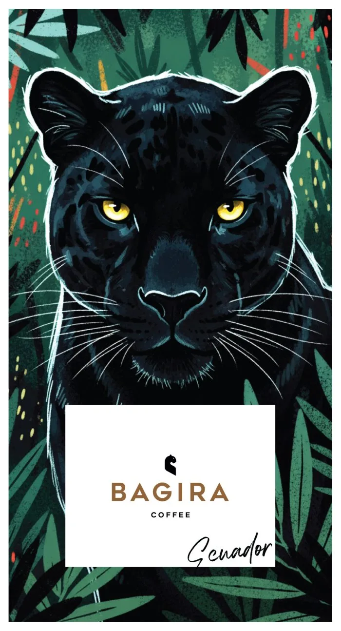 Ecuador José Saritama – Anaerobic Natural